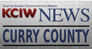 A news paper with the words " new " and " ferry county."